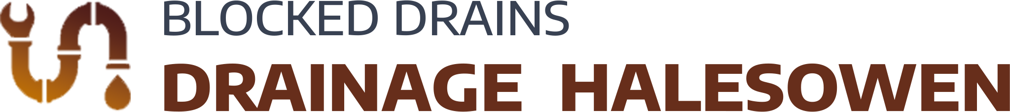 website logo